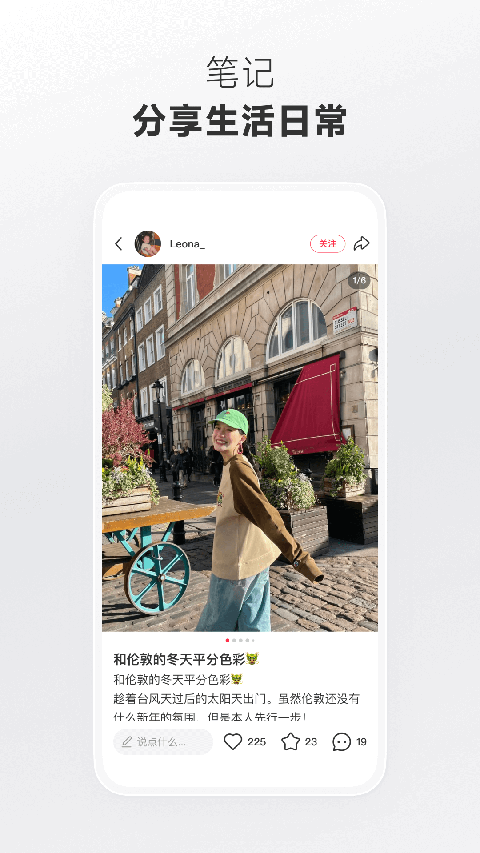 狐狸蜷缩在大象鼻尖的发光茧房中壁纸